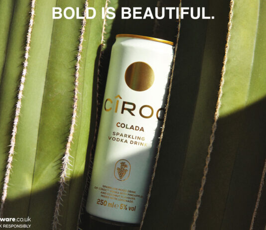 Cîroc Vodka unveils new Colada cocktail can A can of Cîroc Colada sits in the grooves of a cactus with the text 'BOLD IS BEAUTIFUL' at the top of the image.