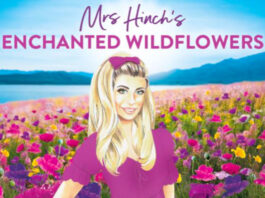 An Enchanted touch for spring cleaning with new Mrs Hinch range An illustration of social media star Mrs Hinch stands against a colourful field of flowers in the background with a landscape overlooking a lake and mountain-ridge. The text at the top reads 'Mrs Hinch's Enchanted Wildflowers'.