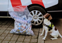 Tobacco sniffer dog Rosie sits in front of an Aberdeen City Council van with a bag of illegal tobacco products.