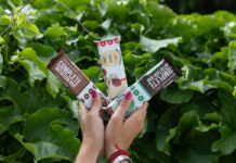 A person holds Vybey's three nutrition bars – Chocolate Brownie, Raspberry White Chocolate and Mint Chocolate – with a green bush behind the bars.