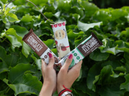 A person holds Vybey's three nutrition bars – Chocolate Brownie, Raspberry White Chocolate and Mint Chocolate – with a green bush behind the bars.