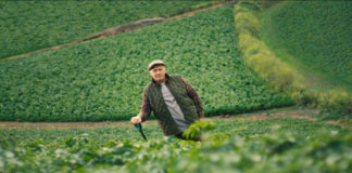 A man stands leaning on a pitchfork in the middle of a green field for the Albert Barlett Royal Jersey Potatoes campaign.