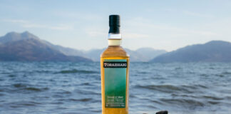 A bottle of Torabhaig Sound of Sleet is balanced on a wooden log with the sea in the background and hills on the landscape.