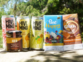 Trio of bee-corp brands unite for World Bee Day Cans of Hive Mind Honeyade, The Scottish Bee Company Chocolate Spread with Honey jar and bars of GNAW Chocolate with Honeycomb and Caramel are all grouped together to mark World Bee Day.