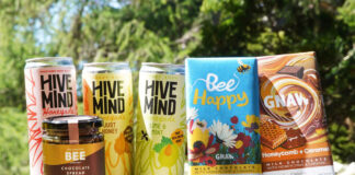 Cans of Hive Mind Honeyade, The Scottish Bee Company Chocolate Spread with Honey jar and bars of GNAW Chocolate with Honeycomb and Caramel are all grouped together to mark World Bee Day.
