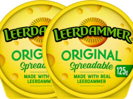 Pack shots of Leerdammer Original Spreadable cheese.