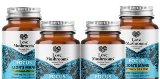 Pack shots of Love Mushrooms Lion's Mane supplements range consisting of Focus + Ashwagandha, Focus + Multi Vitamin, Focus + Magnesium and Focus + Vitamin D3 & Zinc.