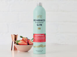 Penrhos Gin unveils new Wonky Strawberry Gin flavour A bottle of Penrhos Handcrafted Wonky Strawberry Gin stands on a white table against a white background with a pink bowl of strawberries next to the bottle and a rose gold jigger measure behind the bowl.