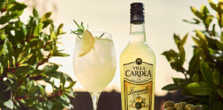 A bottle of Villa Cardea stands next to a wine glass with a Villa Cardea Limoncello Spritz cocktail in it with greenery in the background with oranges around the bottle and serve and a bowl of olives.