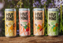 Cans of Hive Mind Honeyade drinks stand on top of a log with some greenery in the background.