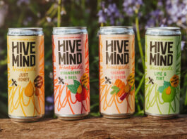 Cans of Hive Mind Honeyade drinks stand on top of a log with some greenery in the background.