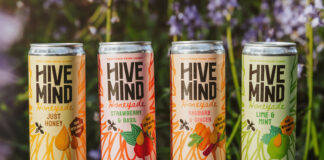 Cans of Hive Mind Honeyade drinks stand on top of a log with some greenery in the background.