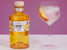 June Gin introduces a tropical touch with new Mango & Passionfruit spirit A bottle of June Gin Mango & Passionfruit stands next to a balloon glass with a gin & tonic serve inside it.