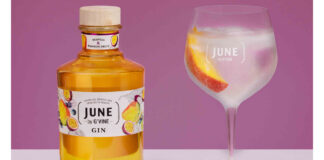 A bottle of June Gin Mango & Passionfruit stands next to a balloon glass with a gin & tonic serve inside it.
