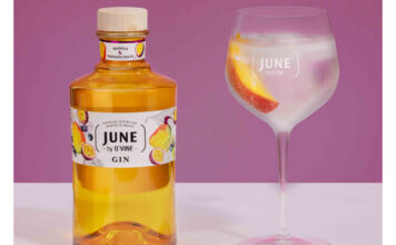 A bottle of June Gin Mango & Passionfruit stands next to a balloon glass with a gin & tonic serve inside it.