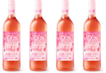 Pack shots of GK Barry Echo Falls Fruit Fusion bottles.