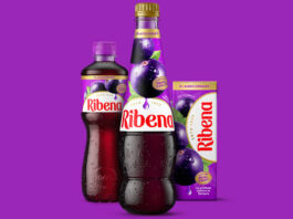 Pack shots of Ribena 500ml bottle, Ribena Squash and Ribena Carton with the 2025 makeover design against a purple background.
