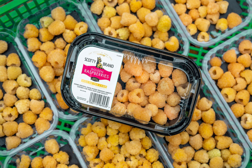 Punnets of Scotty Brand Golden Raspberries on a store shelf.