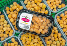 Punnets of Scotty Brand Golden Raspberries on a store shelf.