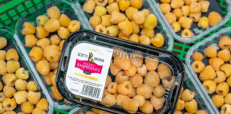 Punnets of Scotty Brand Golden Raspberries on a store shelf.
