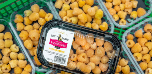 Punnets of Scotty Brand Golden Raspberries on a store shelf.