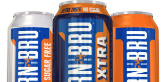 Pack shots of Irn-Bru 330ml can range.