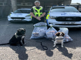 Illegal tobacco traders are no match for Rosie and Boo Two dogs tracked down illegal tobacco traders in the Borders.