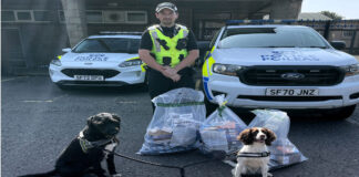 Two dogs tracked down illegal tobacco traders in the Borders.