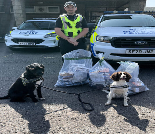Illegal tobacco traders are no match for Rosie and Boo Two dogs tracked down illegal tobacco traders in the Borders.