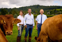 Graham’s The Family Dairy named Scottish Dairy Farm of the Year Members of the Graham's family from Graham's Family Dairy stand in a field with the family's field of cows.