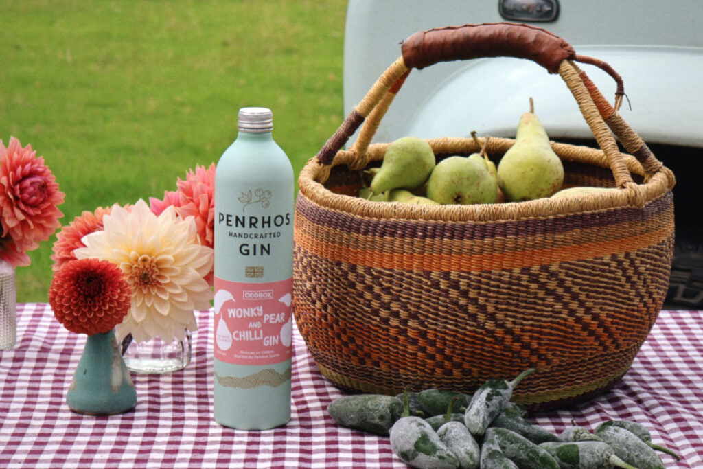 A bottle of Penrhos Gin Pear & Chilli stands next to a basket filled with pears and chillis in front of the basket with a gingham picnic blanket underneath it all.