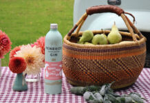 Fiery collaboration yields new Pear and Chilli Gin from Penrhos and Oddbox A bottle of Penrhos Gin Pear & Chilli stands next to a basket filled with pears and chillis in front of the basket with a gingham picnic blanket underneath it all.