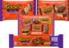 Reese’s makes a frightful return for Halloween with a chance to win tickets to Scream 7 Reese's Halloween range for 2025 with pack shots of Reese's Peanut Butter Skeletons, Reese's Snack Size Peanut Butter Bats, Reese's Assorted Snack Size Shapes and Reese's King Size Peanut Butter Pumpkins.