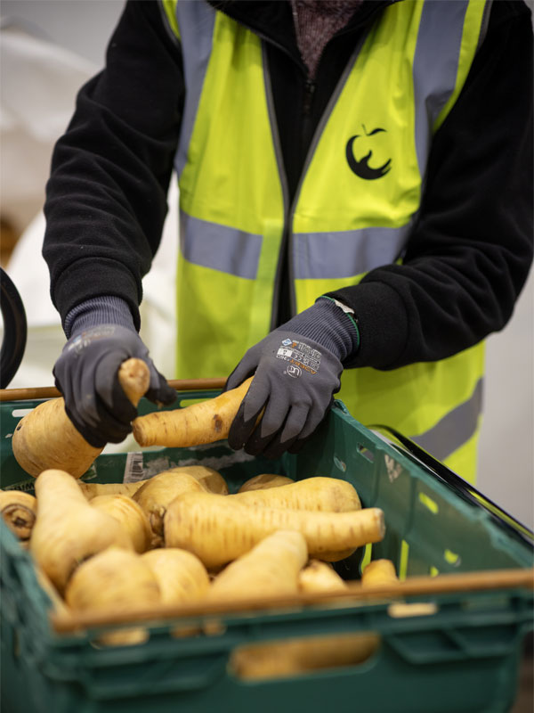 A member of the FareShare team sorts out a bundle of parsnips.