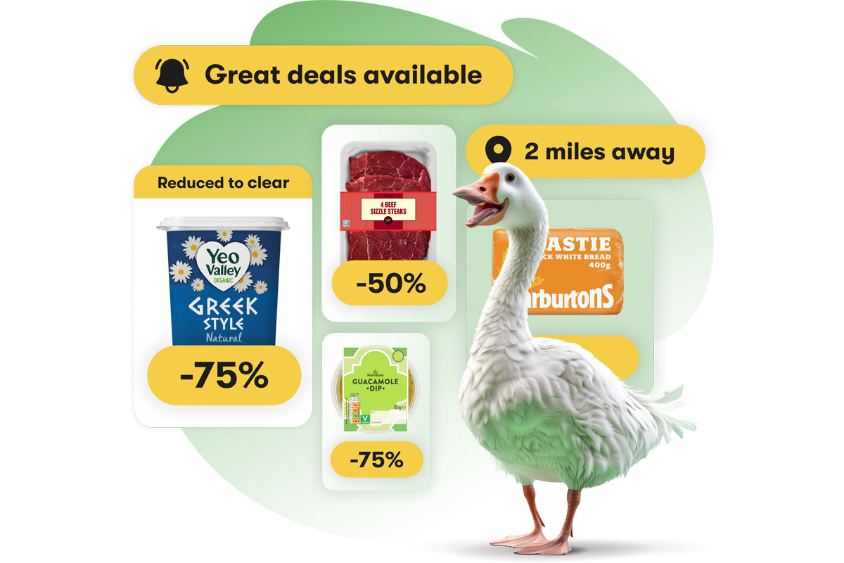 Advert for Gander featuring a goose with discounted food product shots.