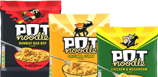 Pot Noodle unveils new Block Noodle pack format Pack shots of Pot Noodle Block Packs including Chicken & Mushroom, Original Curry and Bombay Bad Boy flavours.