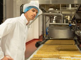Andy Murray makes a visit to Walker’s Shortbread factory Andy Murray stands over a conveyer belt with shortbread on it.