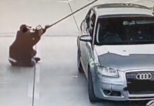 Fuel value losses increase across forecourts A person sits in a forecourt fuel station holding a fuel nozzle up close to their face.