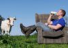 Mossgiel Farm expands with London distribution deal Bryce Cunningham, founder of Mossgiel Farm, sits on an armchair in a field drinking from a milk bottle with a cow to the left of him.