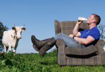Mossgiel Farm expands with London distribution deal Bryce Cunningham, founder of Mossgiel Farm, sits on an armchair in a field drinking from a milk bottle with a cow to the left of him.