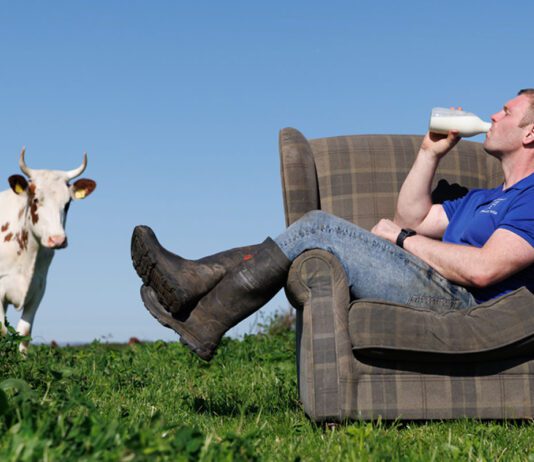 Mossgiel Farm expands with London distribution deal Bryce Cunningham, founder of Mossgiel Farm, sits on an armchair in a field drinking from a milk bottle with a cow to the left of him.