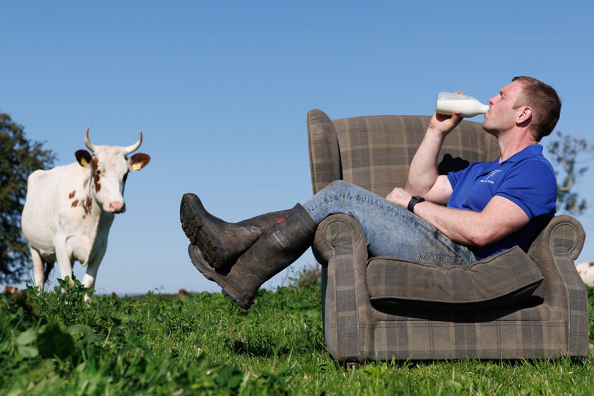 Bryce Cunningham, founder of Mossgiel Farm, sits on an armchair in a field drinking from a milk bottle with a cow to the left of him.