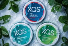 XQS introduces new mint nicotine pouch range Packs of XQS The Menthol, The Peppermint and The Spearmint sit in a snowy field with mint leaves around them.