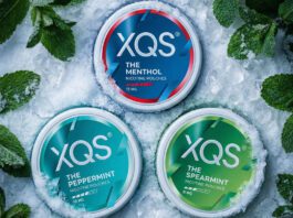 XQS introduces new mint nicotine pouch range Packs of XQS The Menthol, The Peppermint and The Spearmint sit in a snowy field with mint leaves around them.