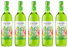 Echo Falls launches Sour Apple flavour The Echo Falls Fruit Fusion Sour Apple launch follows the success of a Blue Raspberry variant.