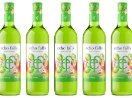 Echo Falls launches Sour Apple flavour The Echo Falls Fruit Fusion Sour Apple launch follows the success of a Blue Raspberry variant.
