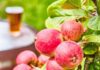 Find Your Cider campaign launches The UK cider industry is coming together to back a consumer campaign called Find Your Cider that aims to encourage cider drinkers to explore the breadth of the category and discover new styles to add to their favourites.