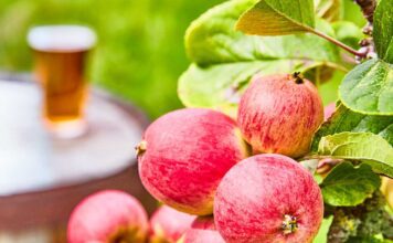 Find Your Cider campaign launches The UK cider industry is coming together to back a consumer campaign called Find Your Cider that aims to encourage cider drinkers to explore the breadth of the category and discover new styles to add to their favourites.