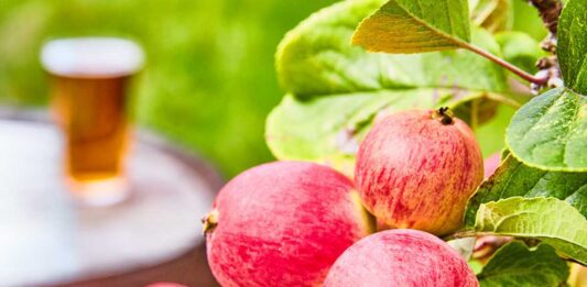 Find Your Cider campaign launches The UK cider industry is coming together to back a consumer campaign called Find Your Cider that aims to encourage cider drinkers to explore the breadth of the category and discover new styles to add to their favourites.