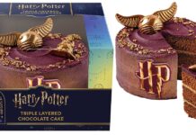 Finsbury conjures up Harry Potter cake Finsbury Food Group is celebrating the 25th anniversary of the Harry Potter movie franchise with a new Hogwarts-themed chocolate celebration cake.